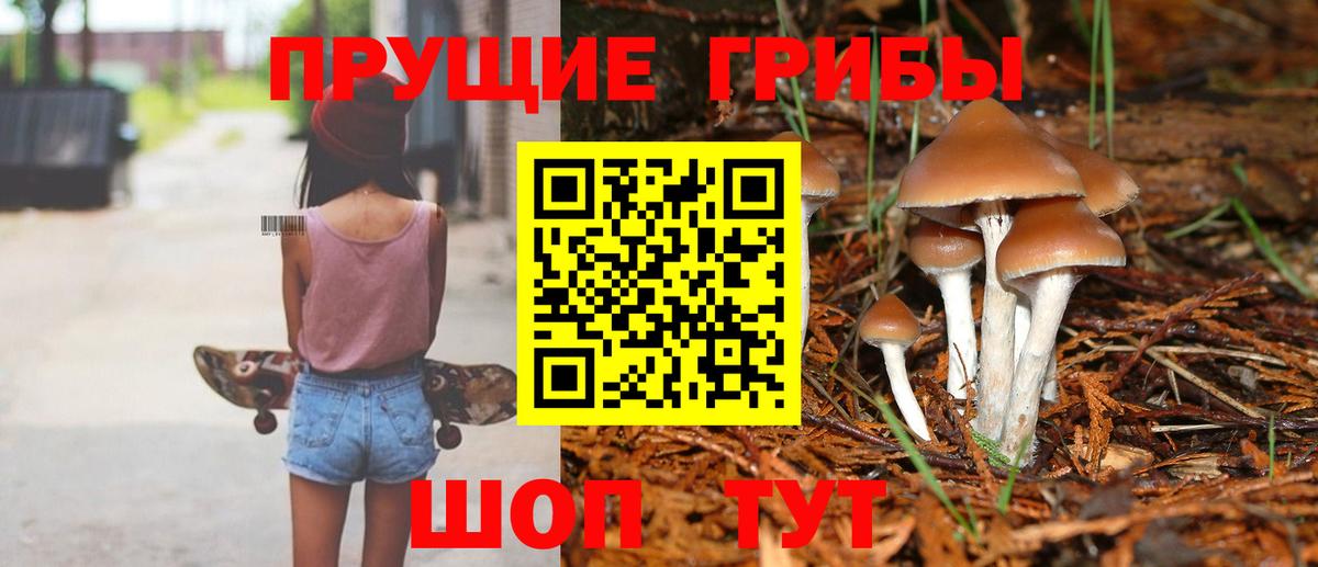 Оренбург  Псилоцибиновые грибы Cubensis  где купить наркотик  Вход с VPN 